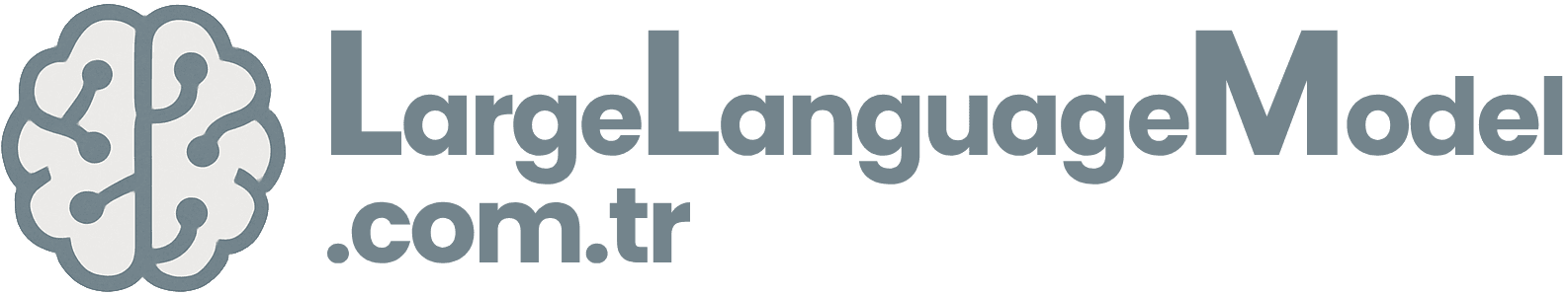 LargeLanguageModel.com.tr